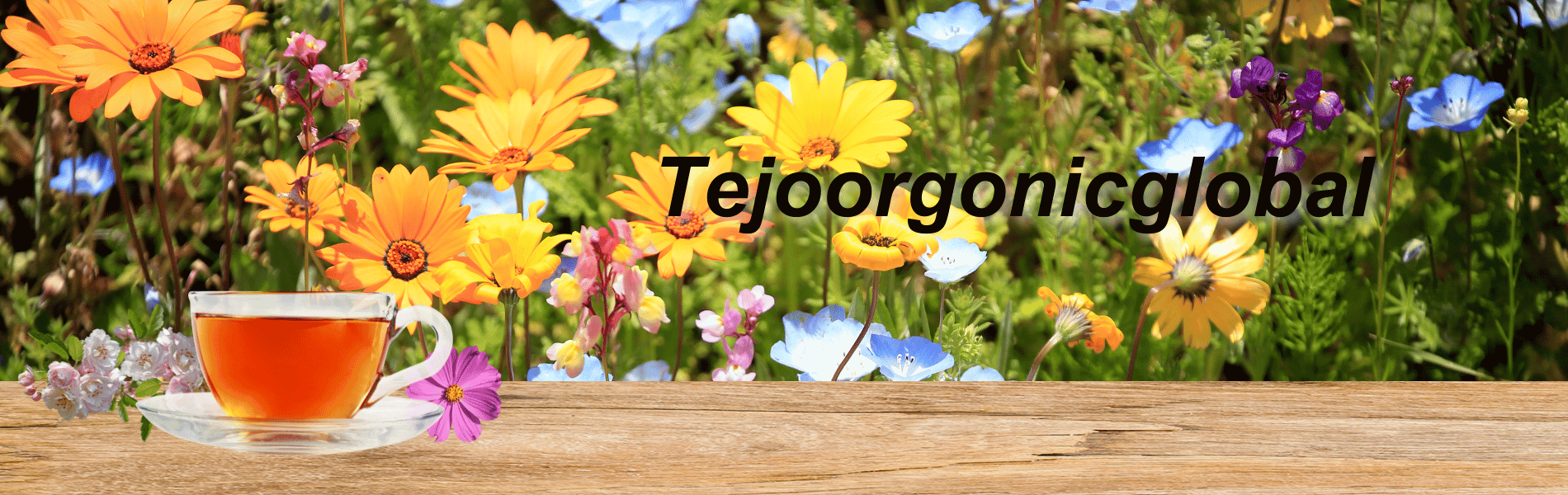 tejoorgonicglobal (6)